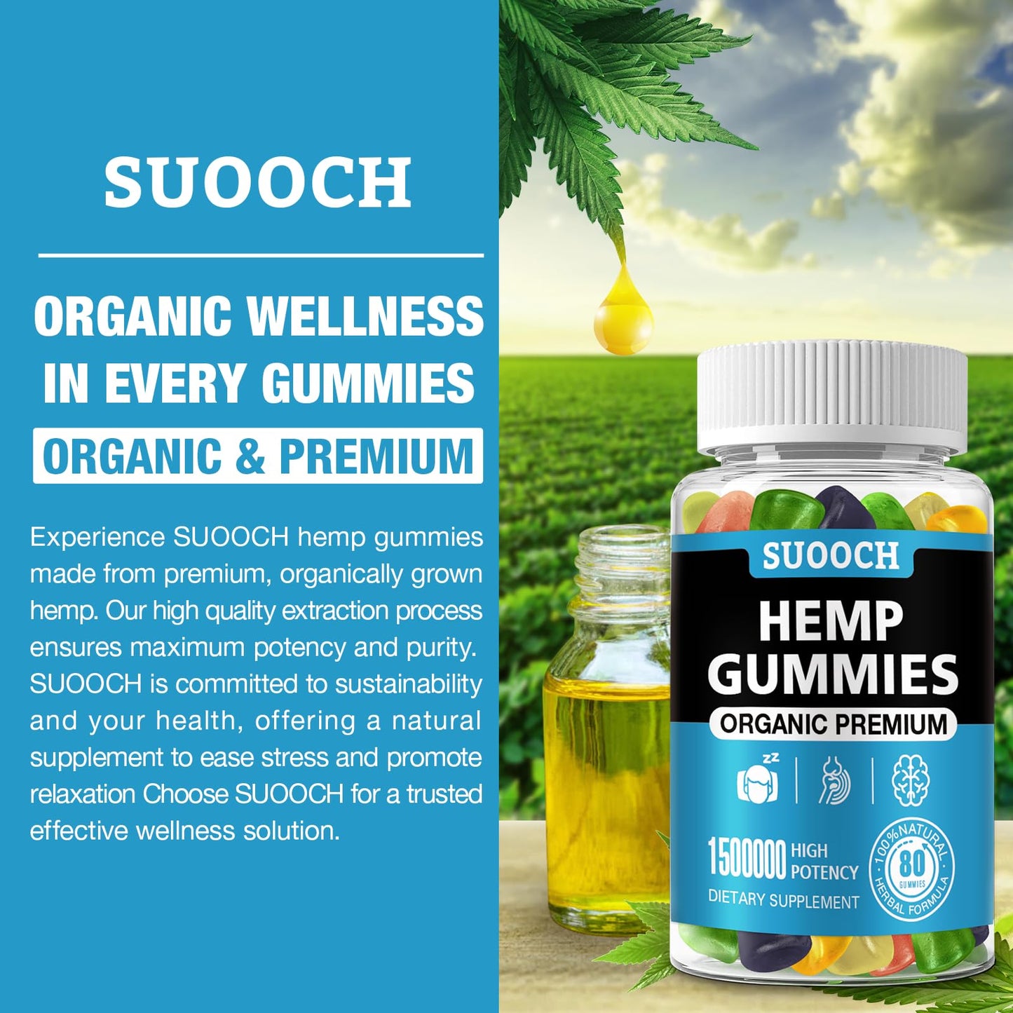 Natural Hemp Gummies – High Potency for Pain, Sleep & Anxiety (2-Pack)