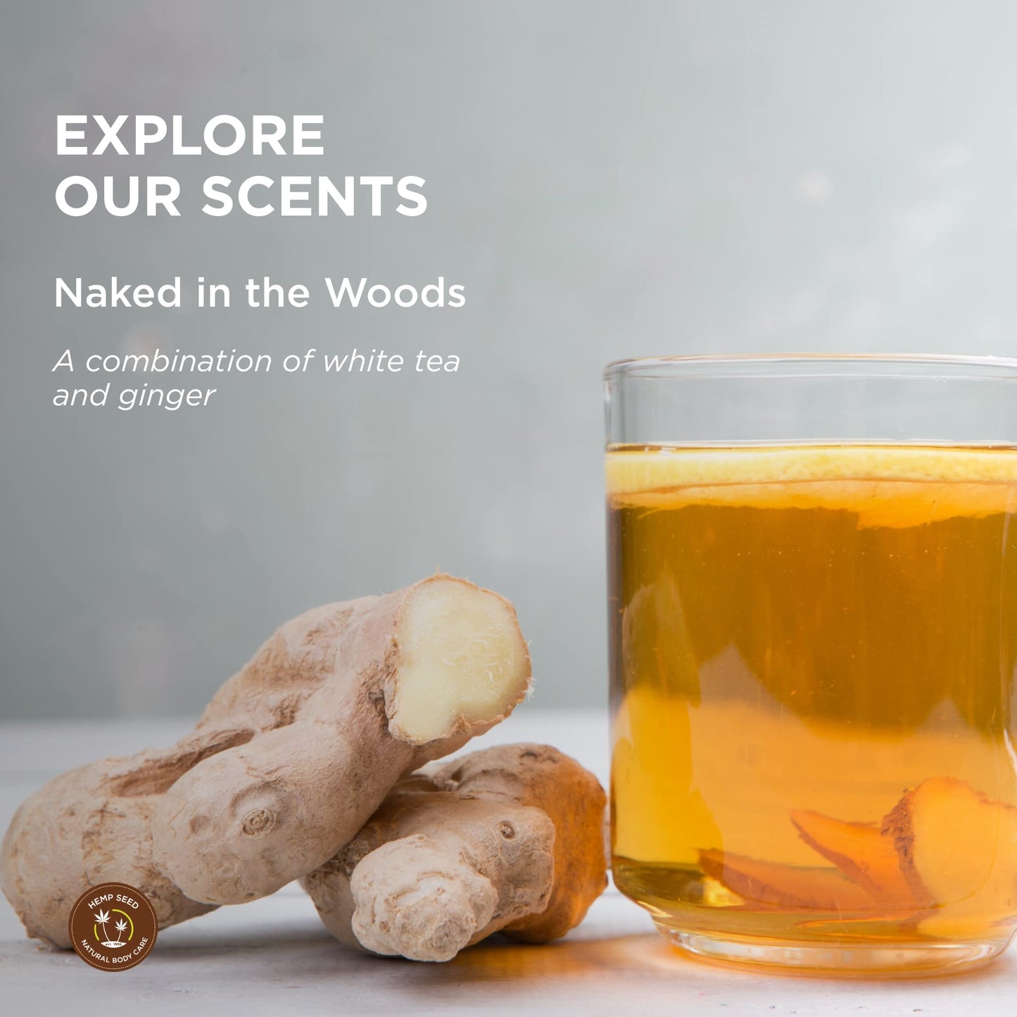 Hemp Seed Massage Lotion – Naked in The Woods (8 oz) – Vegan, Cruelty-Free