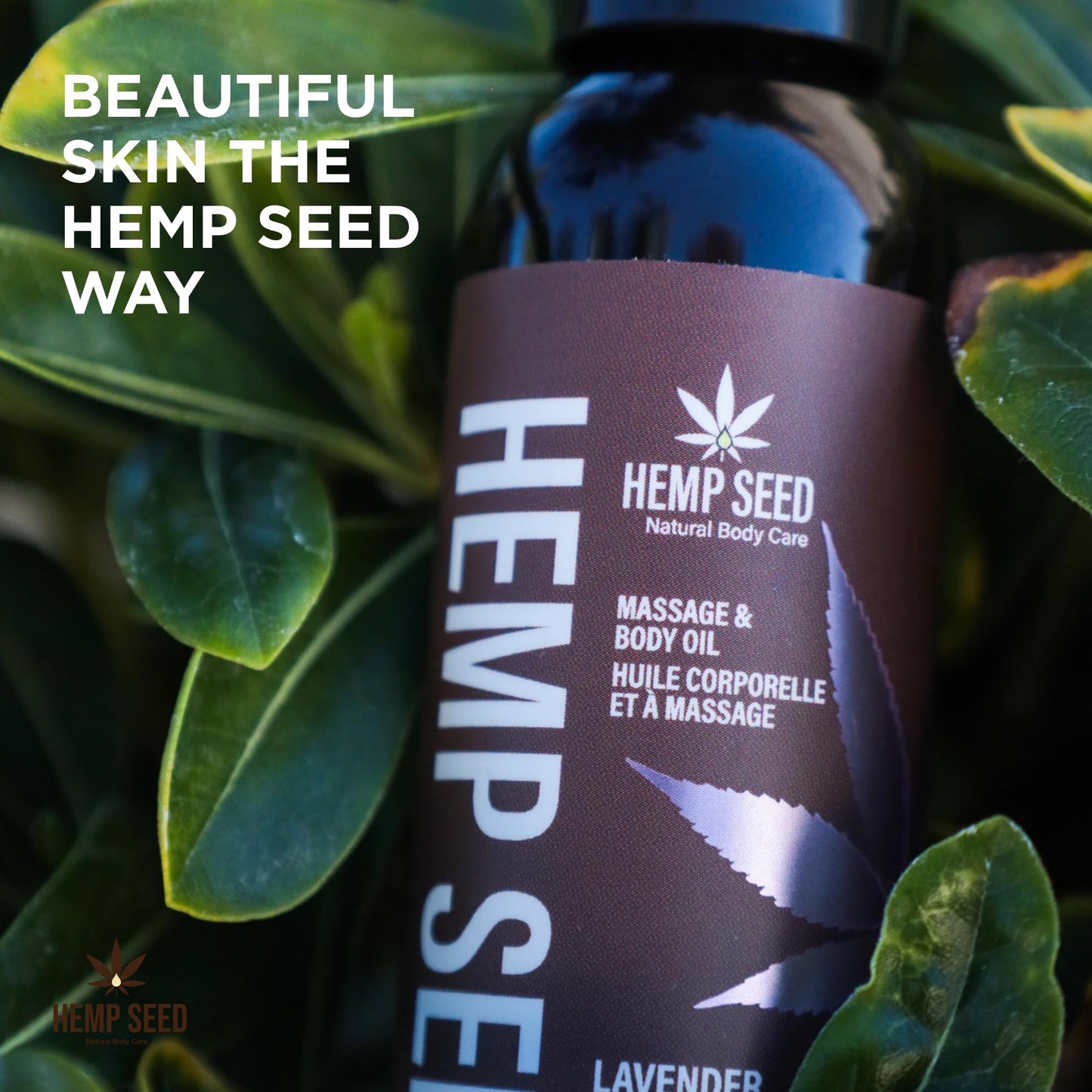 Hemp Seed Massage & Body Oil, Lavender – 8 oz | Vegan & Cruelty-Free
