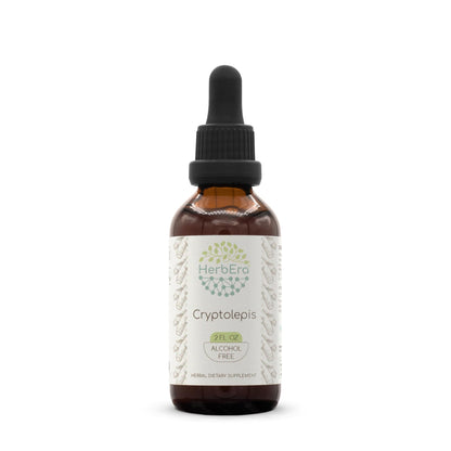 HerbEra Cryptolepis B60 Alcohol-Free Tincture – Wildcrafted Cryptolepis Sanguinolenta, 2 oz