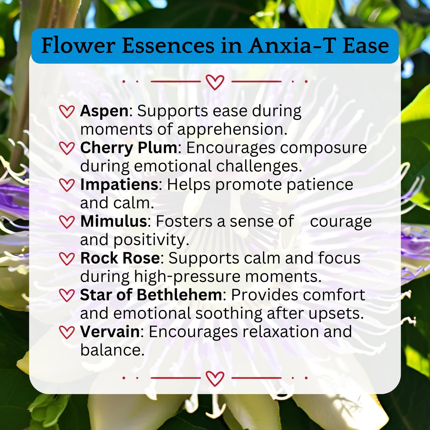 Herb Lore Anxia-T Ease Tincture – Mood & Relaxation Support (2 fl oz)