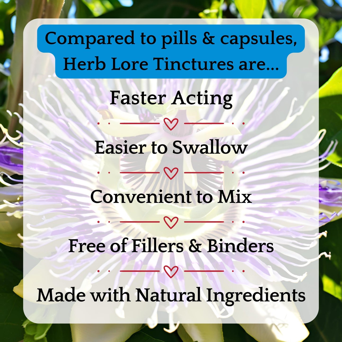 Herb Lore Anxia-T Ease Tincture – Mood & Relaxation Support (2 fl oz)