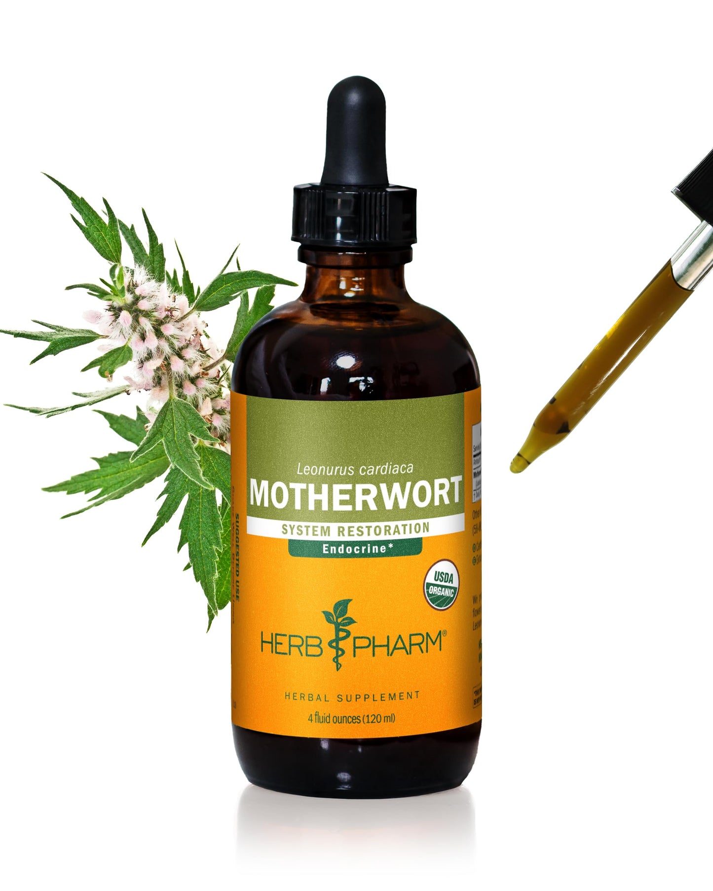 Herb Pharm Certified Organic Motherwort Liquid Extract – Endocrine Support (4 oz)