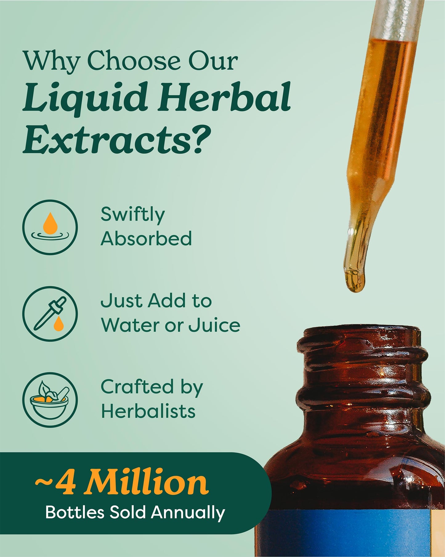 Herb Pharm Certified Organic Dandelion Liquid Extract – Detox & Cleansing, 4 oz