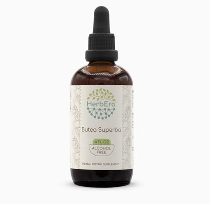 HerbEra Butea Superba Tincture B120 Alcohol-Free Extract | Wildcrafted Dried Root 4 oz