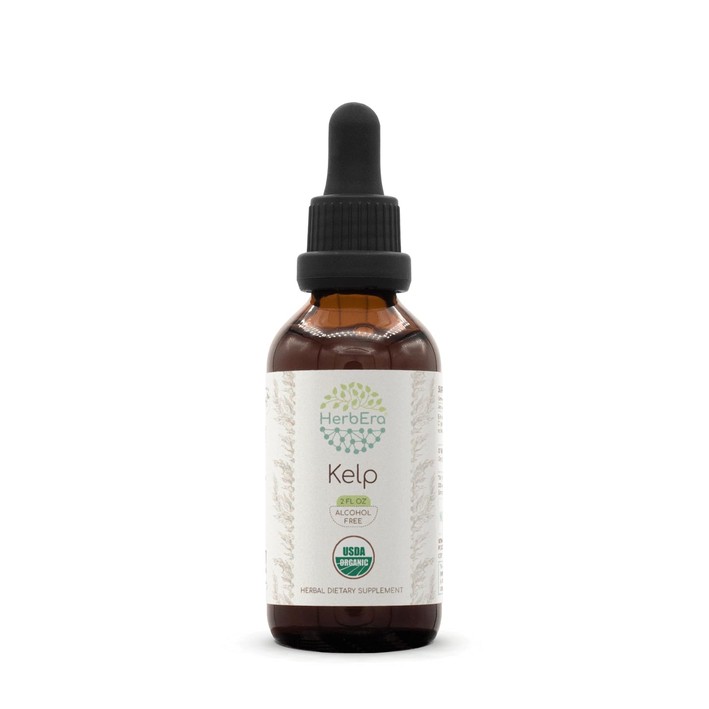 HerbEra Kelp B60 USDA Organic Tincture - Alcohol-Free Extract, High-Potency Drops (2 oz) | Certified Organic Kelp (Ascophyllum nodosum) Dried Plant