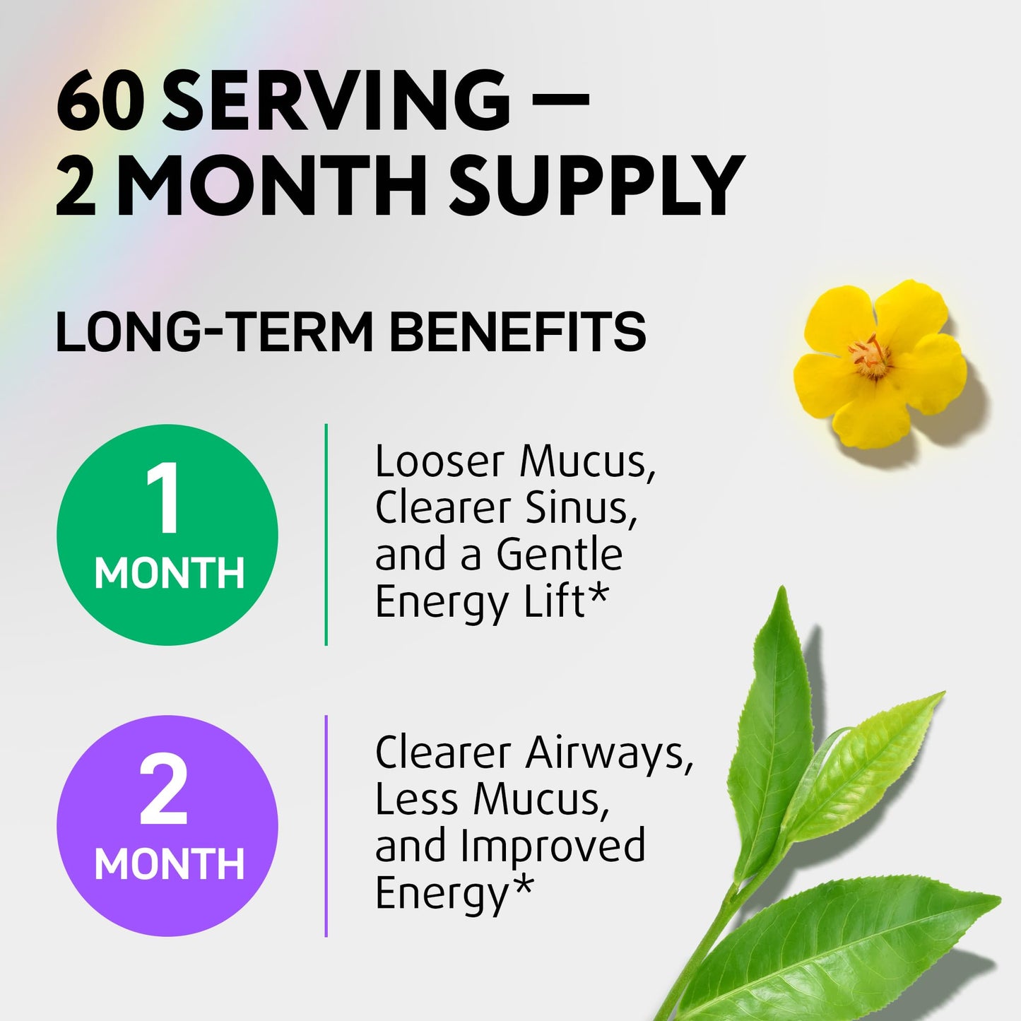 Mullein Drops for Lungs – USDA Organic Mullein & Nettle Leaf Extract | Made in USA | 2 oz
