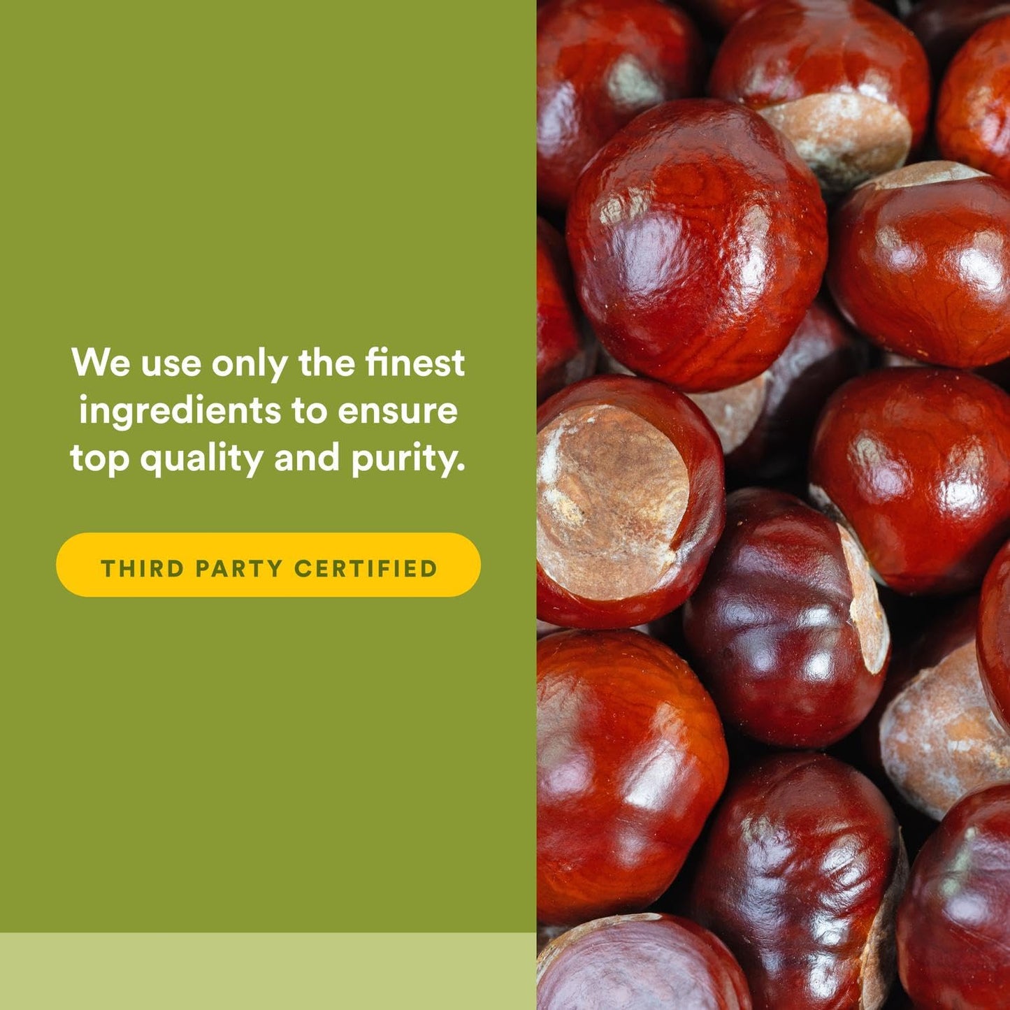 HerbalFactors by Natural Factors - Horse Chestnut & GrapeSeedRich, 60 caps