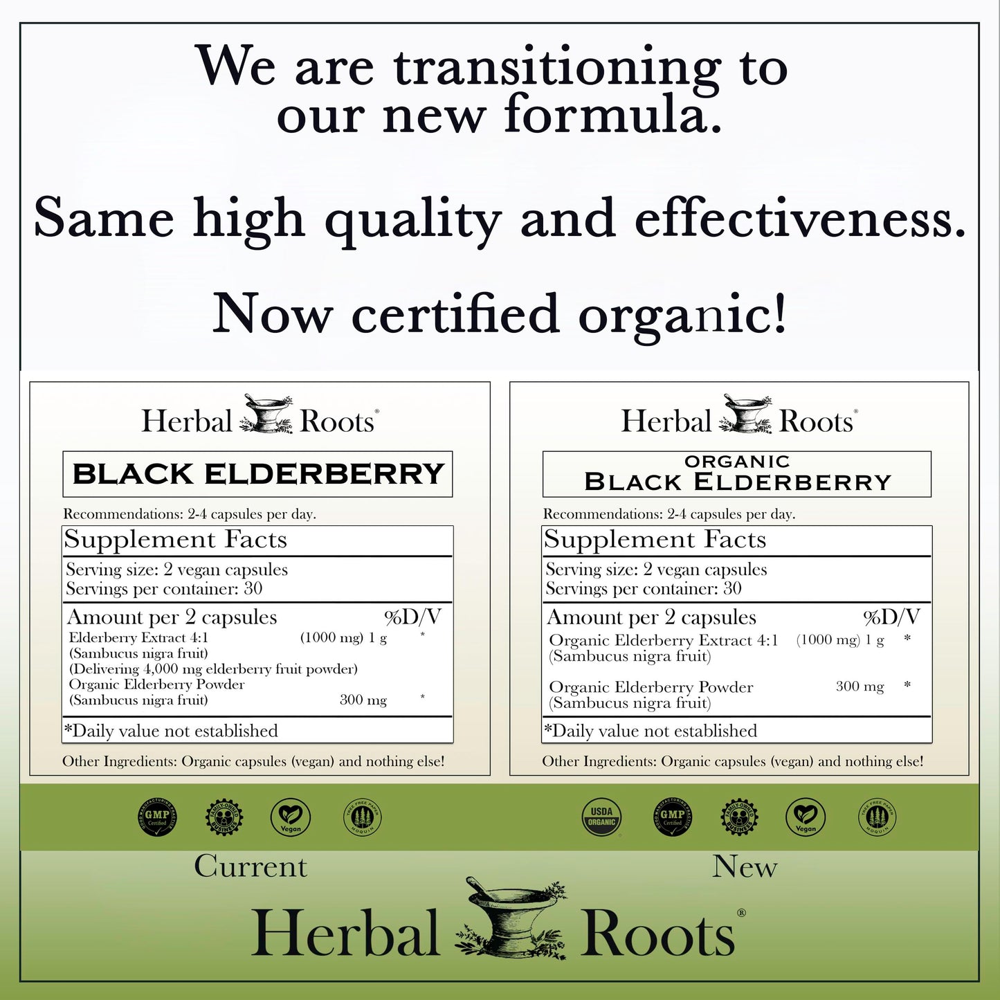 Herbal Roots Organic Black Elderberry Capsules - Max Strength | 60 Vegan Capsules