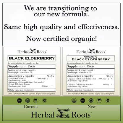 Herbal Roots Organic Black Elderberry Capsules - Max Strength | 60 Vegan Capsules