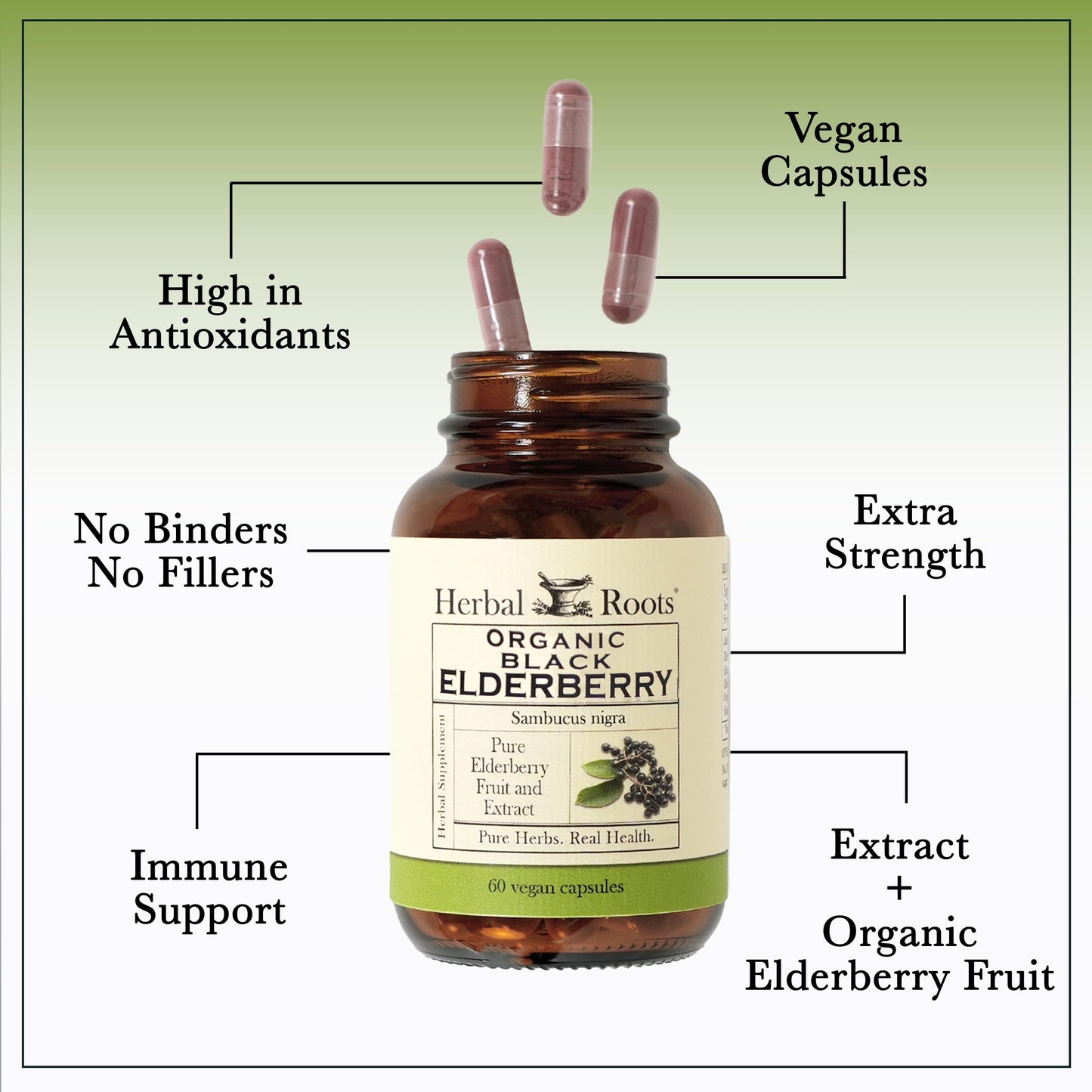 Herbal Roots Organic Black Elderberry Capsules - Max Strength | 60 Vegan Capsules