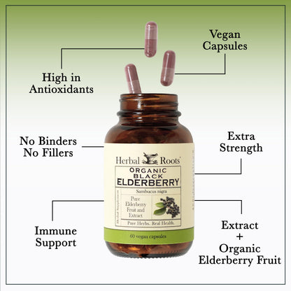 Herbal Roots Organic Black Elderberry Capsules - Max Strength | 60 Vegan Capsules