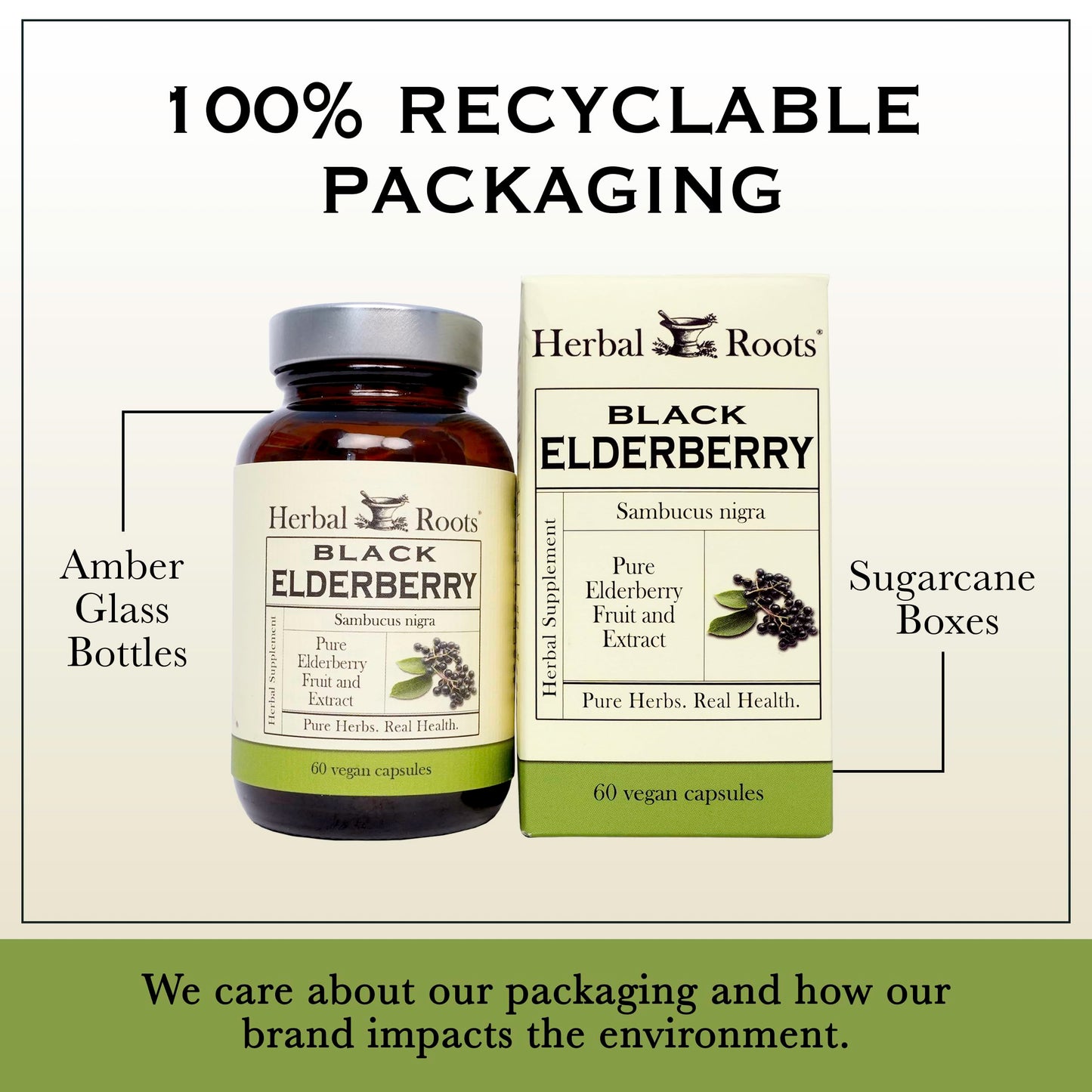 Herbal Roots Organic Black Elderberry Capsules - Max Strength | 60 Vegan Capsules