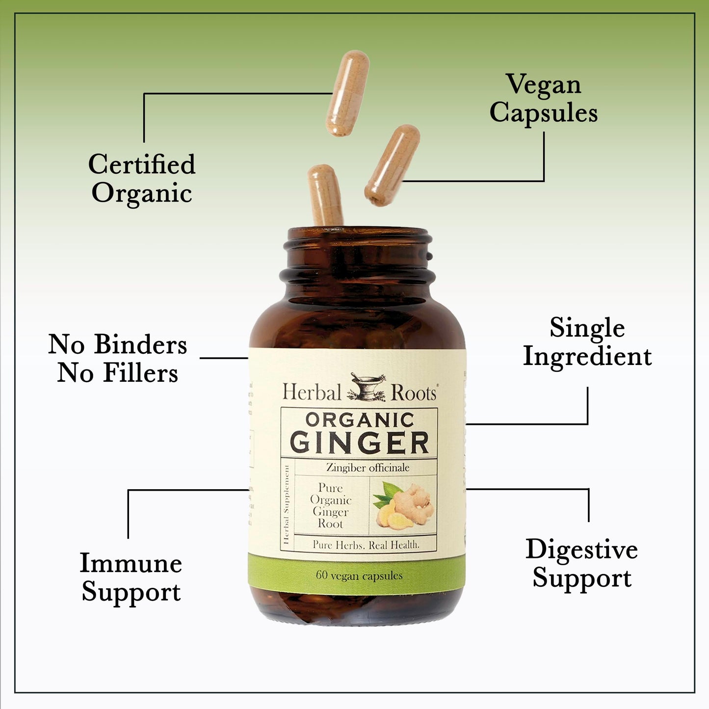 Herbal Roots Ginger Supplement | Organic Ginger Root Capsules | 1,200 mg per Serving
