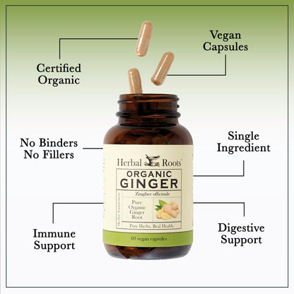 Herbal Roots Ginger Supplement | Organic Ginger Root Capsules | 1,200 mg per Serving
