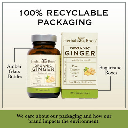 Herbal Roots Ginger Supplement | Organic Ginger Root Capsules | 1,200 mg per Serving