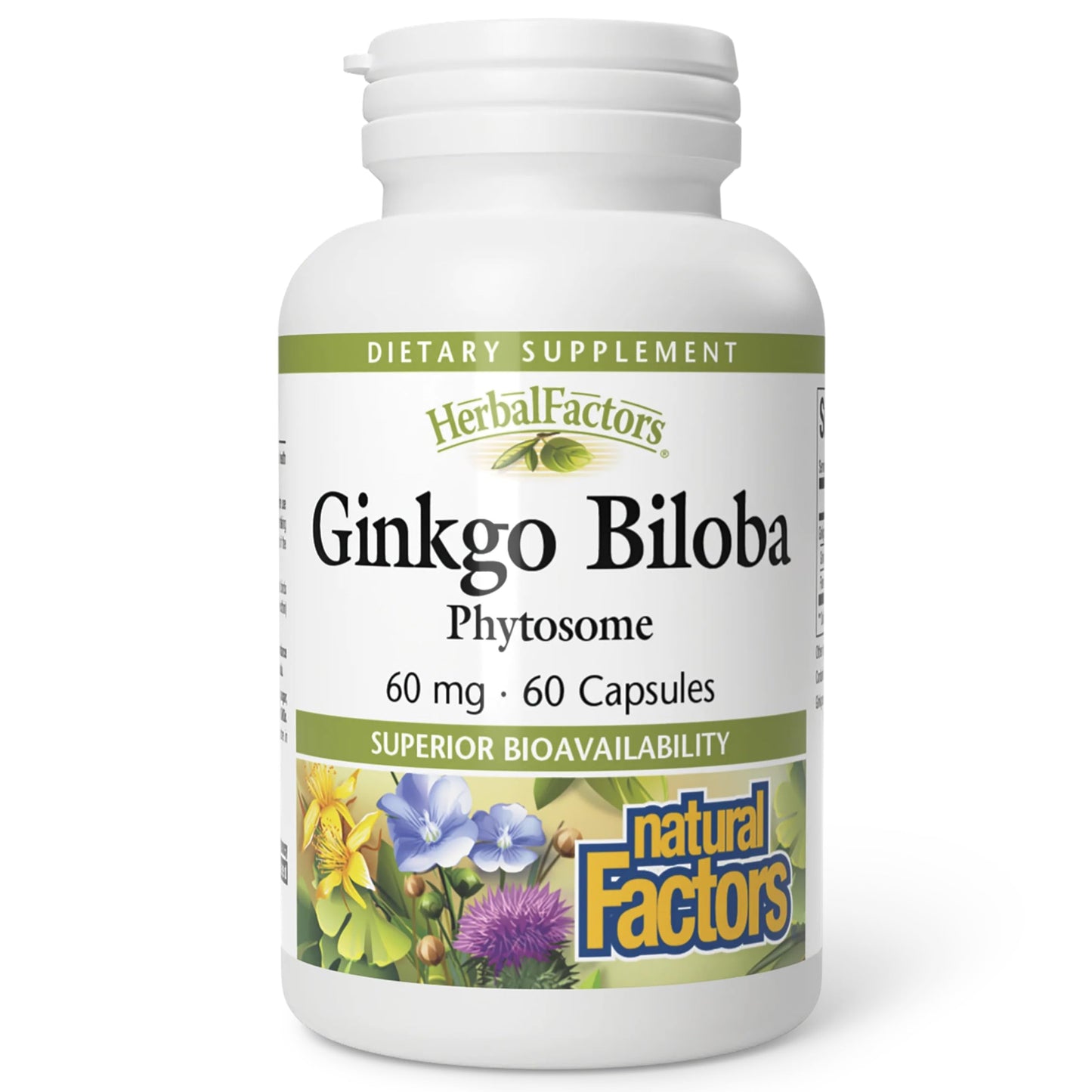 HerbalFactors Ginkgo Biloba Phytosome – Circulation & Brain Health, 60 Caps
