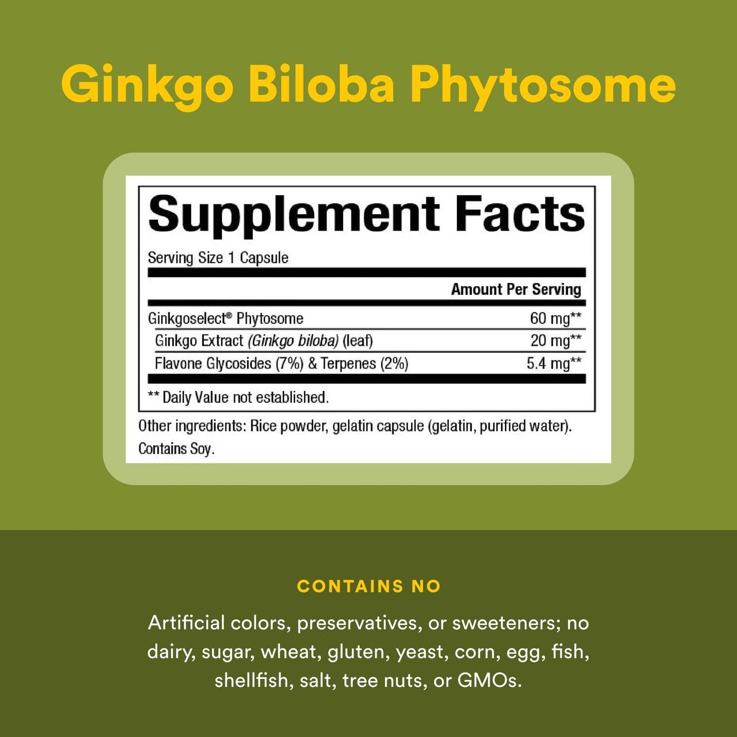 HerbalFactors Ginkgo Biloba Phytosome – Circulation & Brain Health, 60 Caps