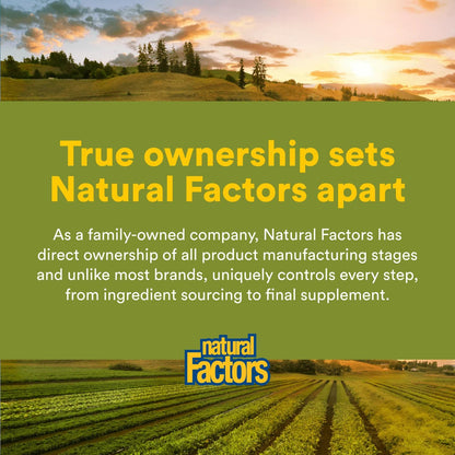 HerbalFactors Ginkgo Biloba Phytosome – Circulation & Brain Health, 60 Caps