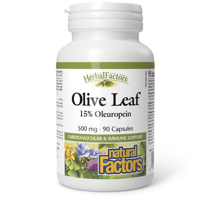 HerbalFactors by Natural Factors - Olive Leaf 500 mg | Natural Wellness Formula | 90 Capsules