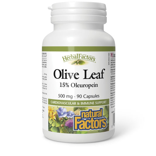 HerbalFactors by Natural Factors - Olive Leaf 500 mg | Natural Wellness Formula | 90 Capsules BritishVita | Premium UK Vitamins & Wellness Supplements