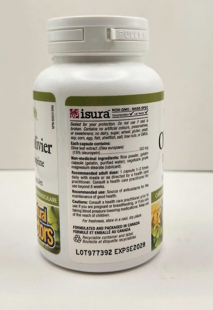 HerbalFactors by Natural Factors - Olive Leaf 500 mg | Natural Wellness Formula | 90 Capsules