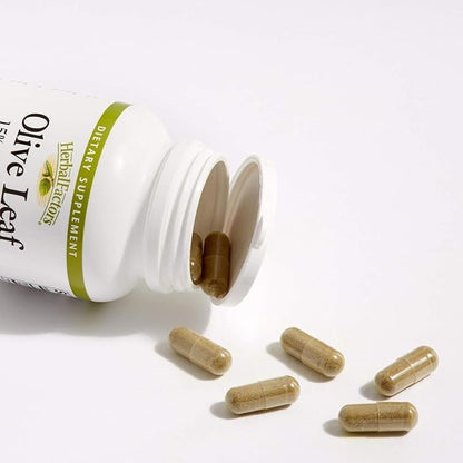 HerbalFactors by Natural Factors - Olive Leaf 500 mg | Natural Wellness Formula | 90 Capsules