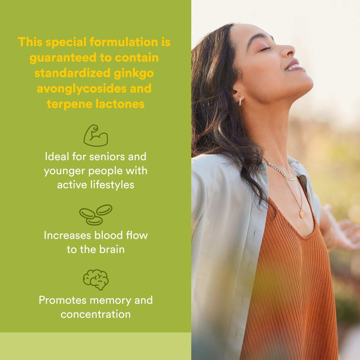 HerbalFactors by Natural Factors: Ginkgo Biloba for Memory & Brain Support – 60 Capsules