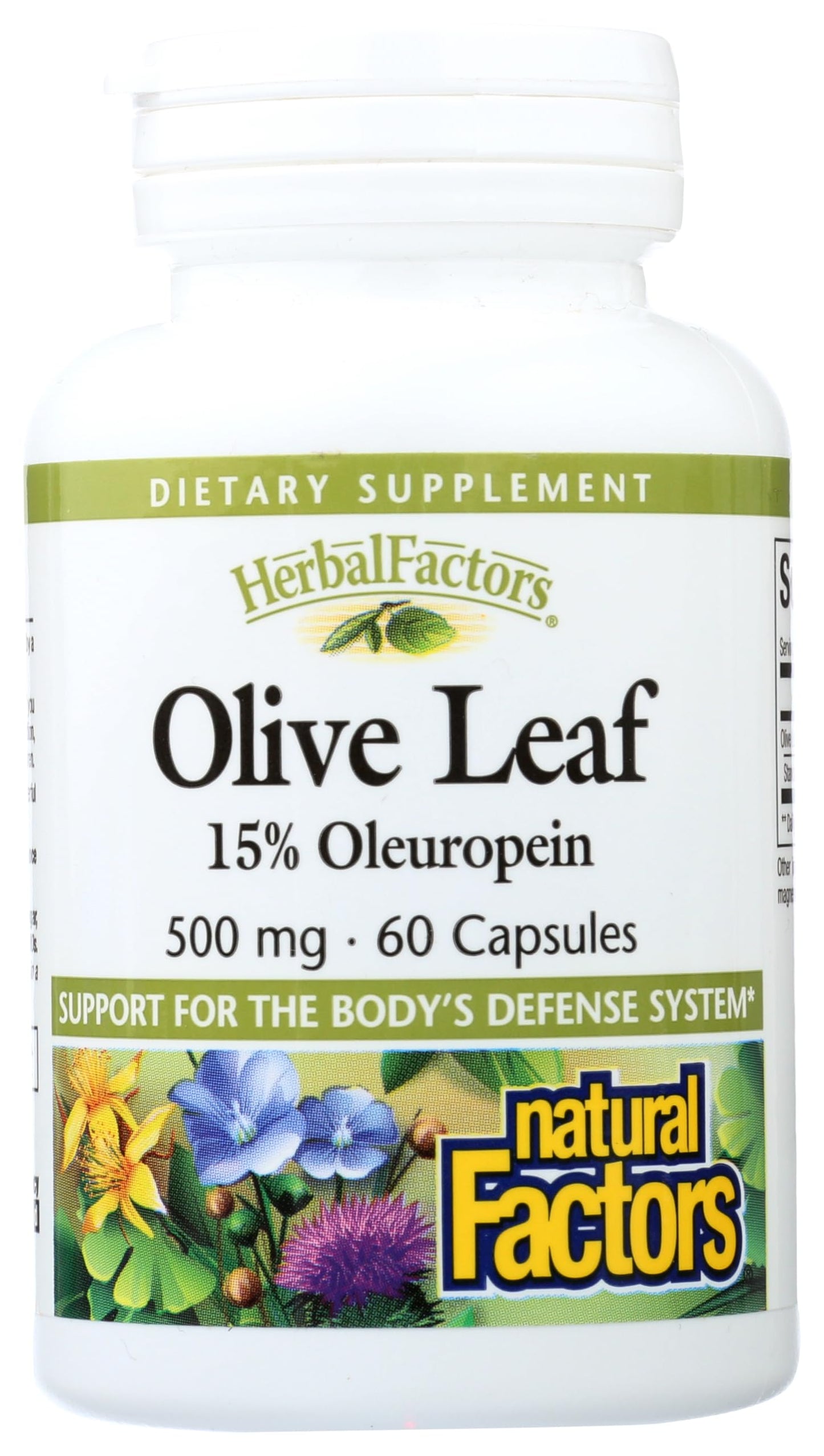 HerbalFactors Olive Leaf 500 mg | Natural Factors – Natural Wellness Formula, 60 Capsules