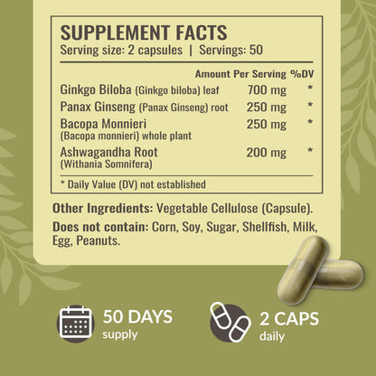 HERBAMAMA Brain Support Capsules – 1400mg Focus Supplement with Bacopa, Ginseng & Ginkgo | Vegan, Non-GMO, 100 Caps (Pack of 2)