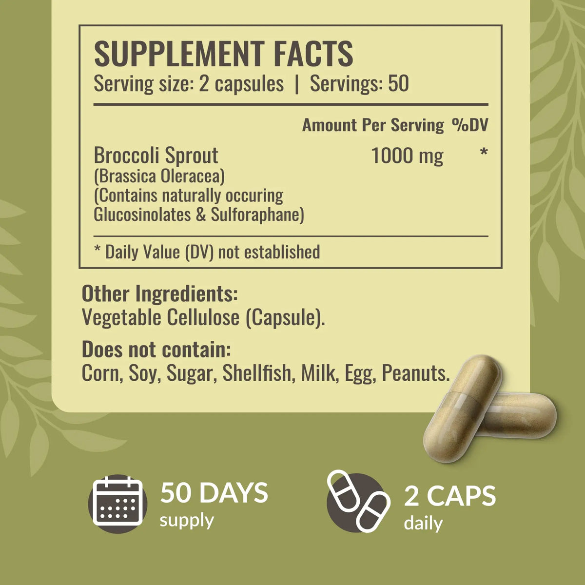 HERBAMAMA Broccoli Sprouts Capsules – 1000mg Broccoli Sprout Extract, Vegan & Non-GMO | Immune & Antioxidant Support (Pack of 2) BritishVita | Premium UK Vitamins & Wellness Supplements
