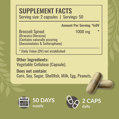HERBAMAMA Broccoli Sprouts Capsules – 1000mg Broccoli Sprout Extract, Vegan & Non-GMO | Immune & Antioxidant Support (Pack of 2) BritishVita | Premium UK Vitamins & Wellness Supplements