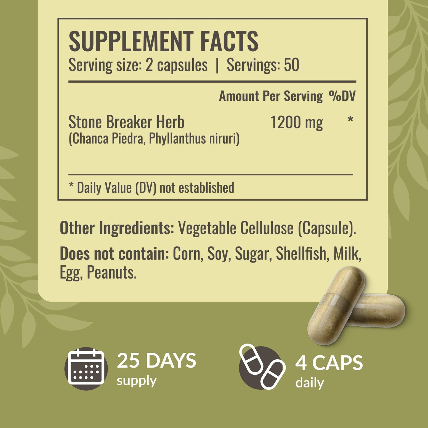 HERBAMAMA Chanca Piedra 1200mg – Kidney Stone Breaker, Gallbladder & Urinary Support (Pack of 2) – Vegan, Non-GMO