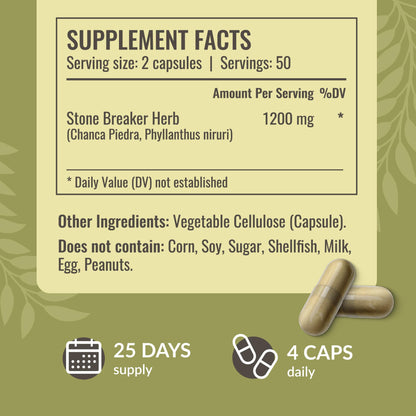 HERBAMAMA Chanca Piedra 1200mg – Kidney Stone Breaker, Gallbladder & Urinary Support (Pack of 2) – Vegan, Non-GMO