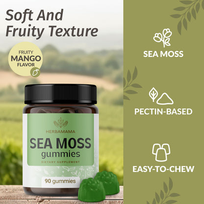Herbamama Irish Sea Moss Gummies – 1600mg with Bladderwrack & Burdock Root | Vegan, Non-GMO
