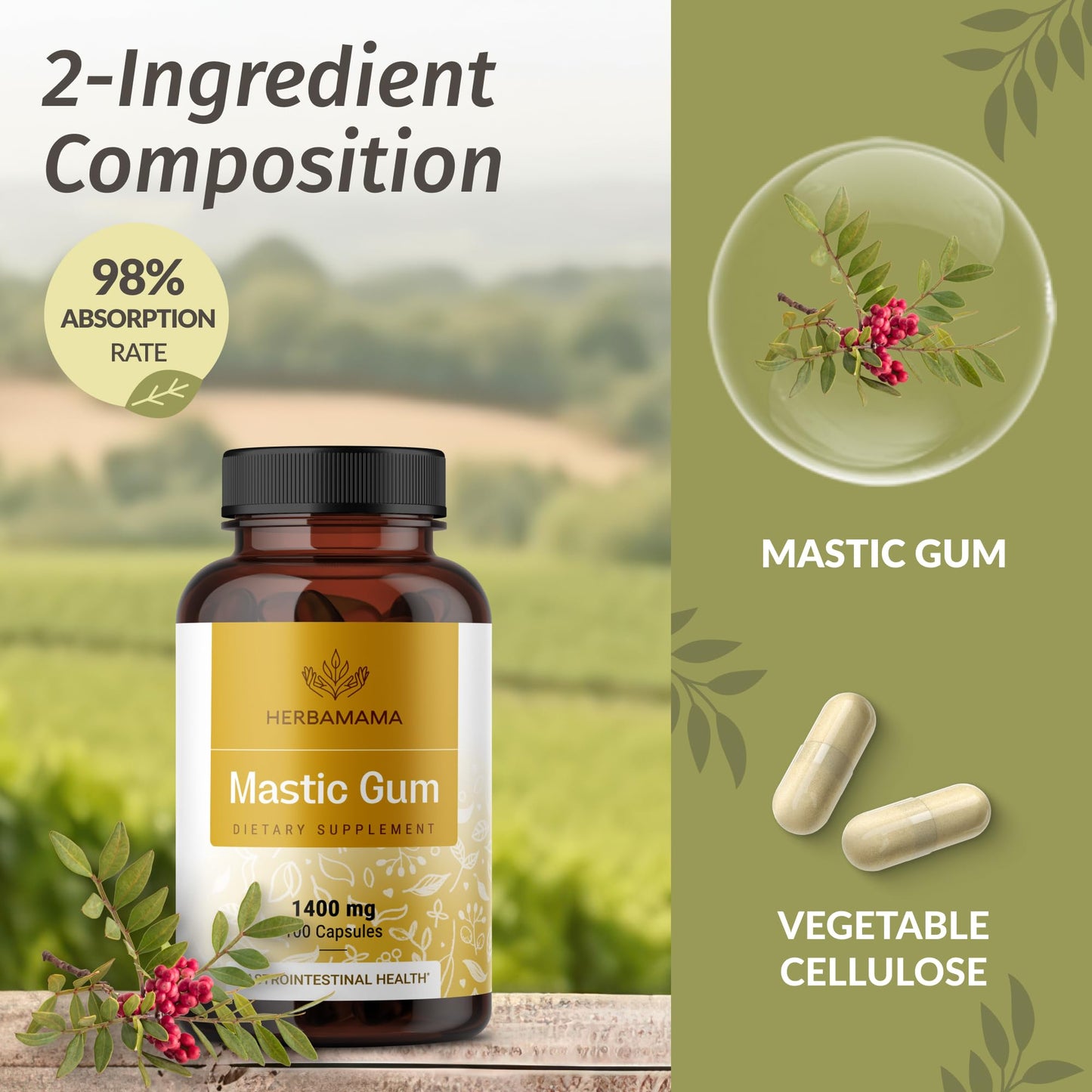 HERBAMAMA Mastic Gum Capsules 1400mg – Digestive Support (Vegan, Non-GMO)