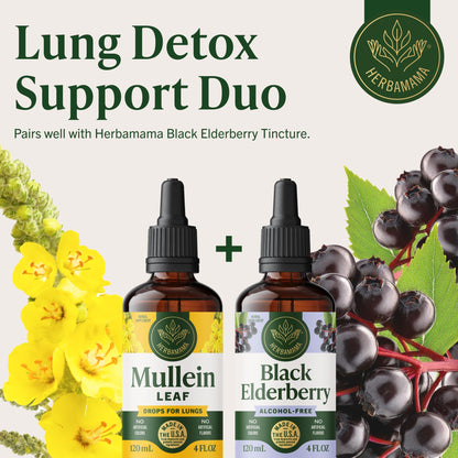 Herbamama Mullein Drops for Lungs - Vegan Lung Cleanse (56-Day Supply)