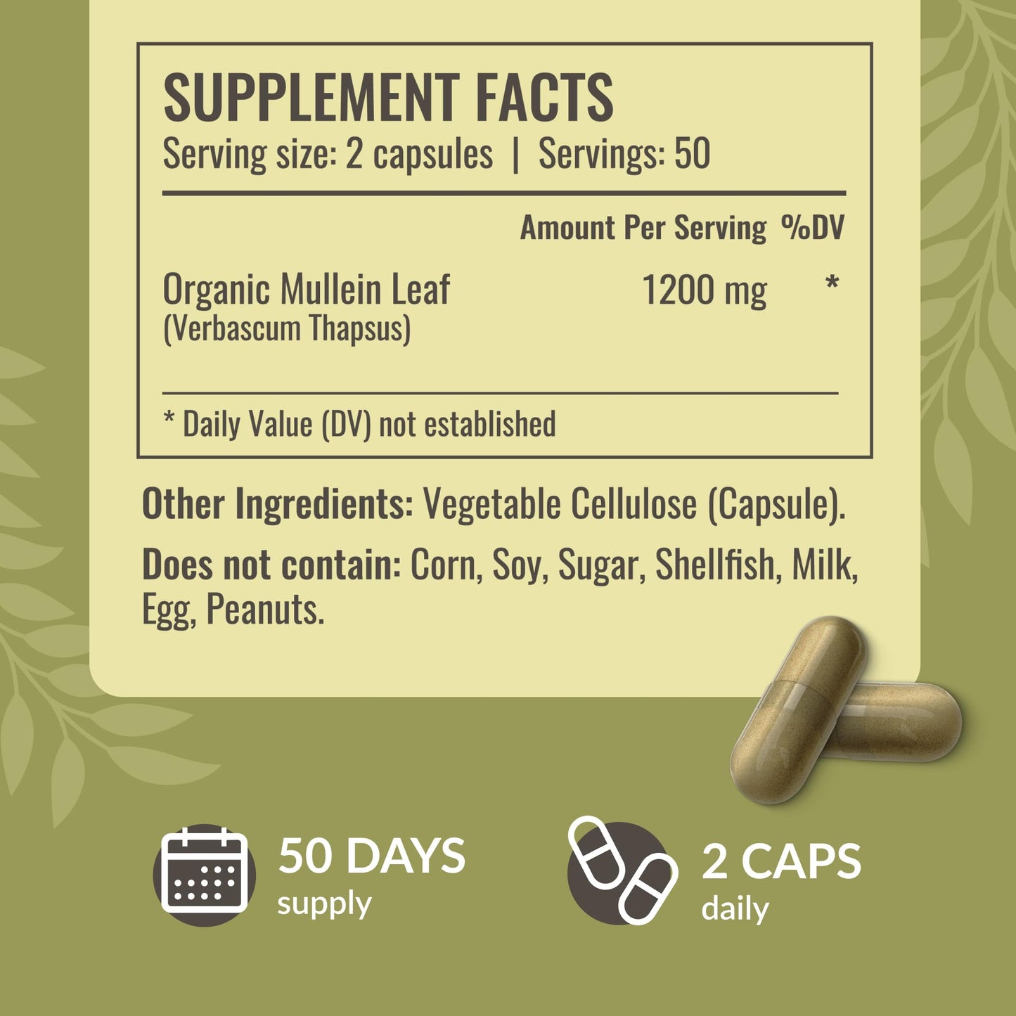 HERBAMAMA Mullein Leaf Capsules - 1200mg Lung Detox Support | Vegan & Non-GMO | Pack of 2