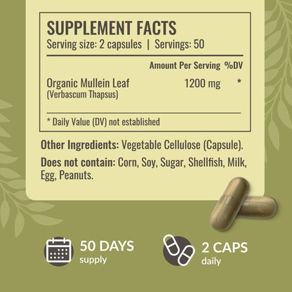 HERBAMAMA Mullein Leaf Capsules - 1200mg Lung Detox Support | Vegan & Non-GMO | Pack of 2