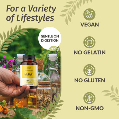 HERBAMAMA Mullein Leaf Capsules - 1200mg Lung Detox Support | Vegan & Non-GMO | Pack of 2