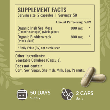 HERBAMAMA Sea Moss and Bladderwrack Capsules - 1600mg Irish Sea Moss for Immune Support - Vegan, Non-GMO Immunity Supplement for Overall Support