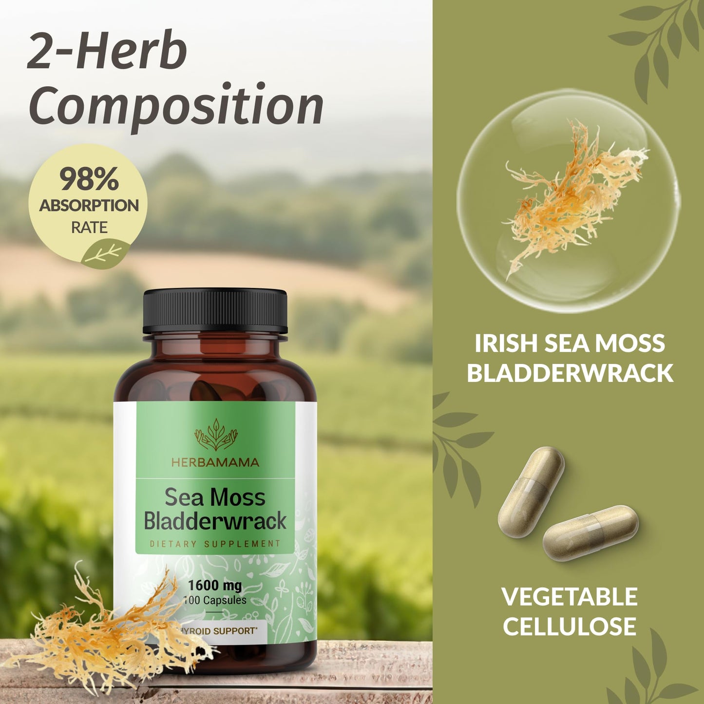 HERBAMAMA Sea Moss and Bladderwrack Capsules - 1600mg Irish Sea Moss for Immune Support - Vegan, Non-GMO Immunity Supplement for Overall Support