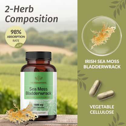 HERBAMAMA Sea Moss and Bladderwrack Capsules - 1600mg Irish Sea Moss for Immune Support - Vegan, Non-GMO Immunity Supplement for Overall Support