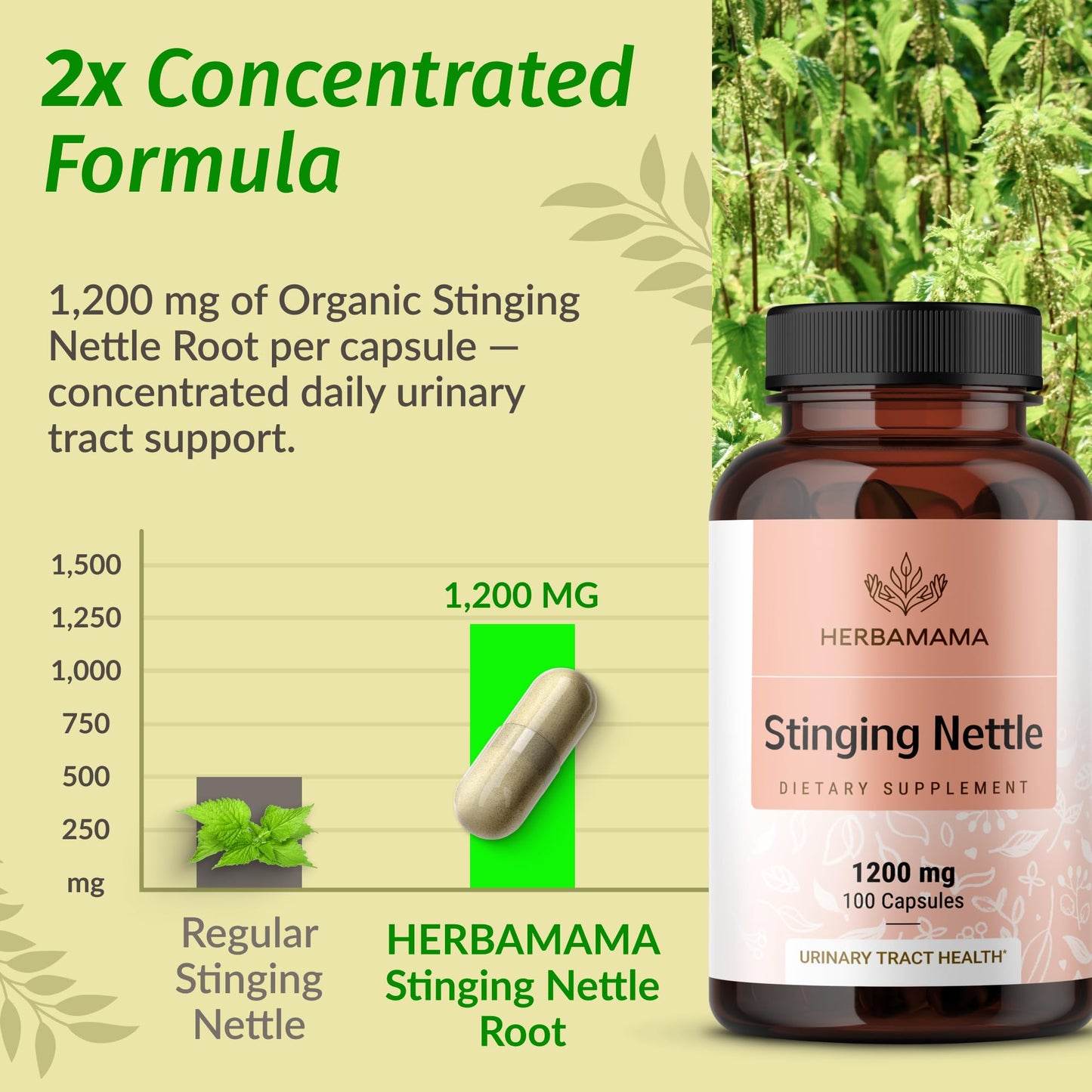 HERBAMAMA Stinging Nettle Capsules 1200mg Root Extract – Urinary Tract Support (Vegan, Non-GMO)