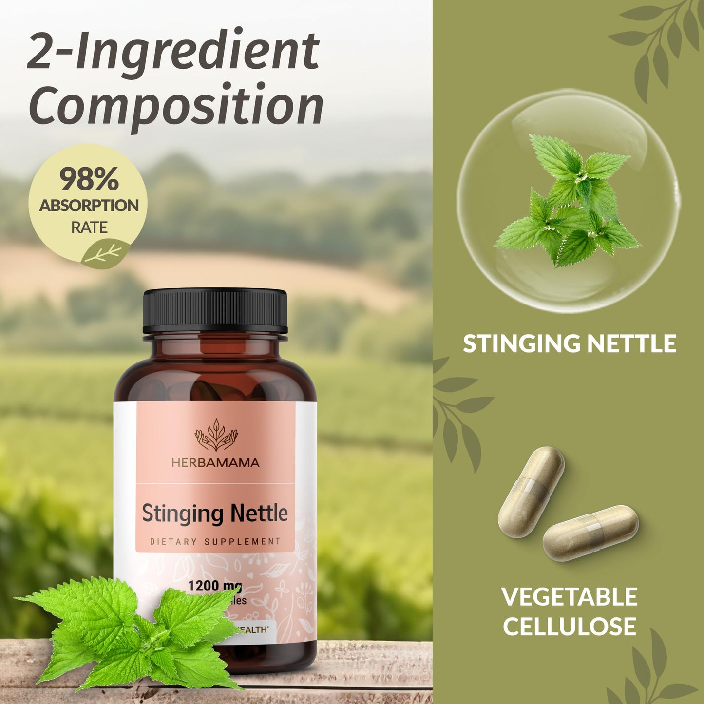 HERBAMAMA Stinging Nettle 1200mg – Urinary Tract Support (Vegan, Non-GMO) Pack of 2