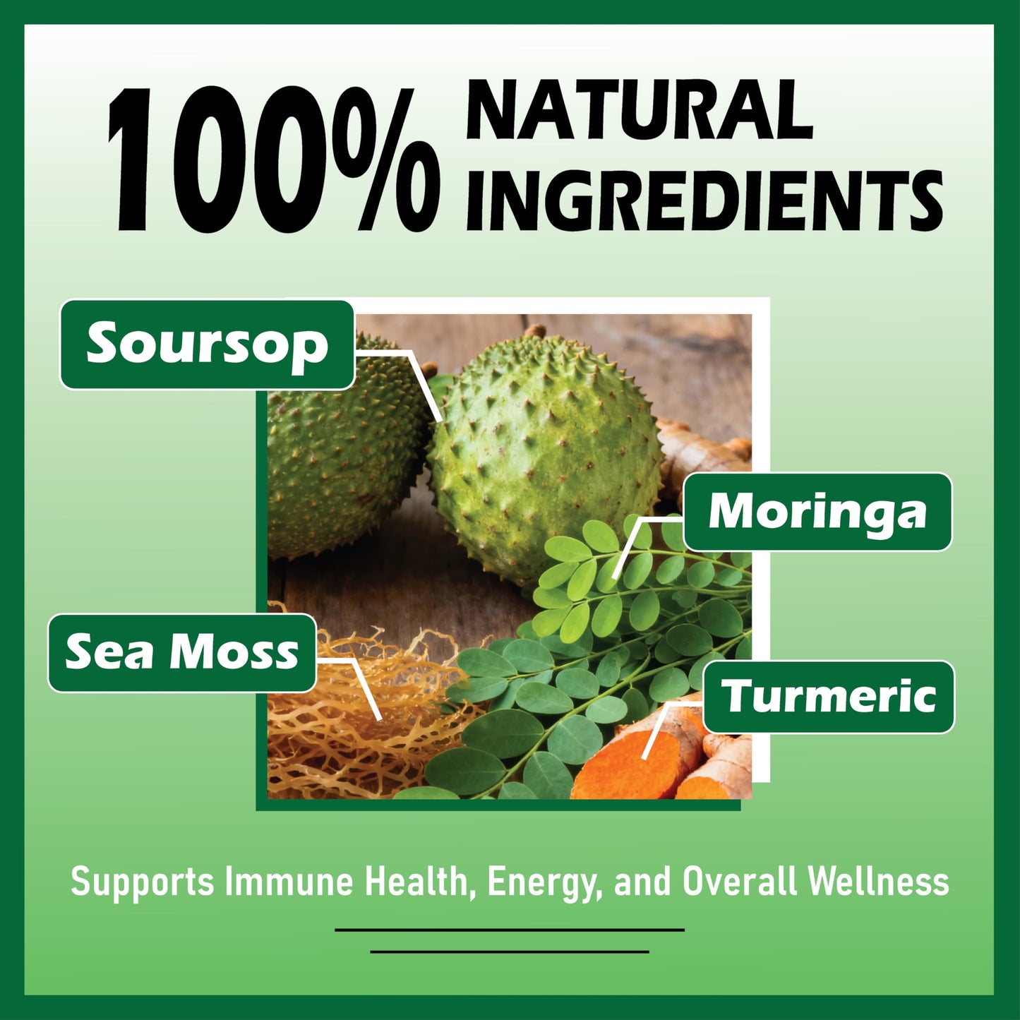 Herbavita Soursop Liquid Drops 10-in-1 | Sea Moss, Moringa, Turmeric & Black Seed Oil | Vegan, Non-GMO