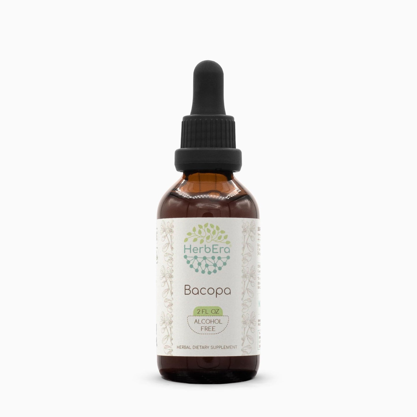 HerbEra Bacopa B60 Alcohol-Free Herbal Extract Tincture - 2 fl oz | Bacopa Monnieri