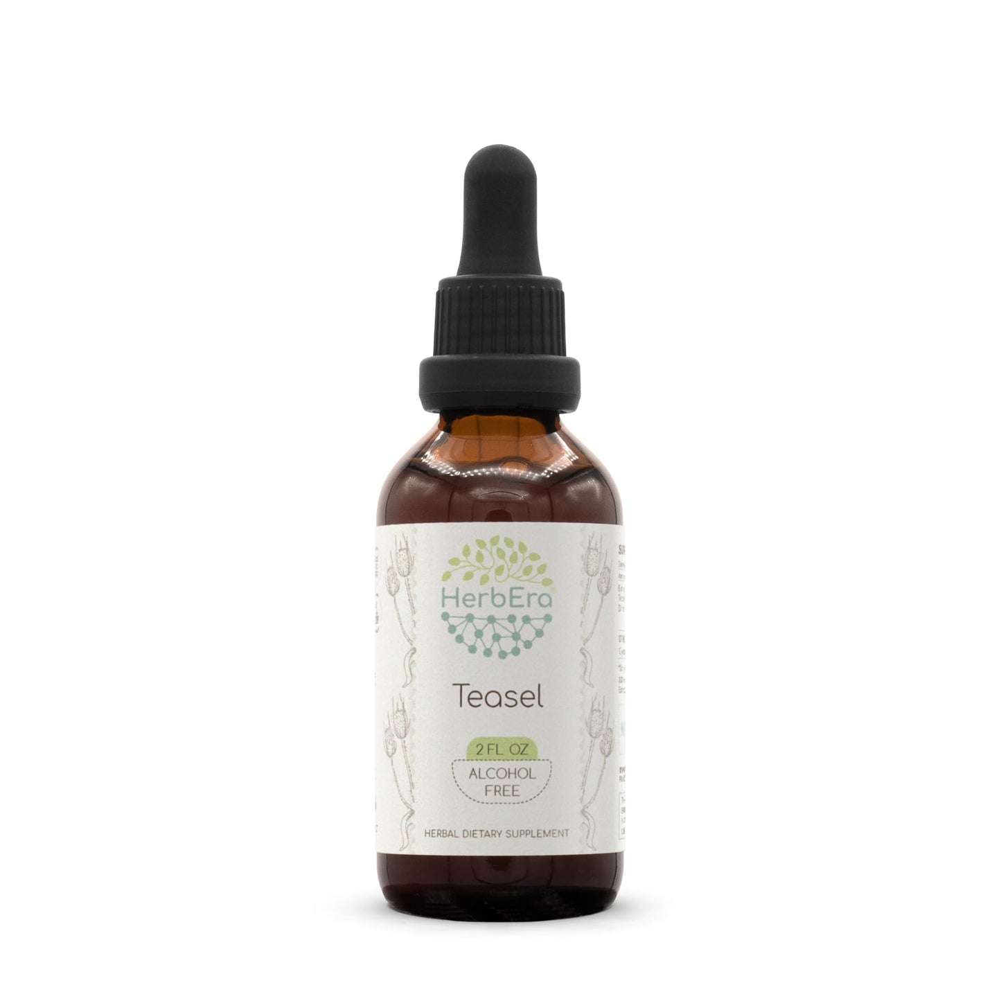 HerbEra Teasel B60 Alcohol-Free Herbal Extract Tincture, Concentrated Liquid Drops Natural Teasel (Dipsacus fullonum, Dipsacus sylvestris) 2 fl oz
