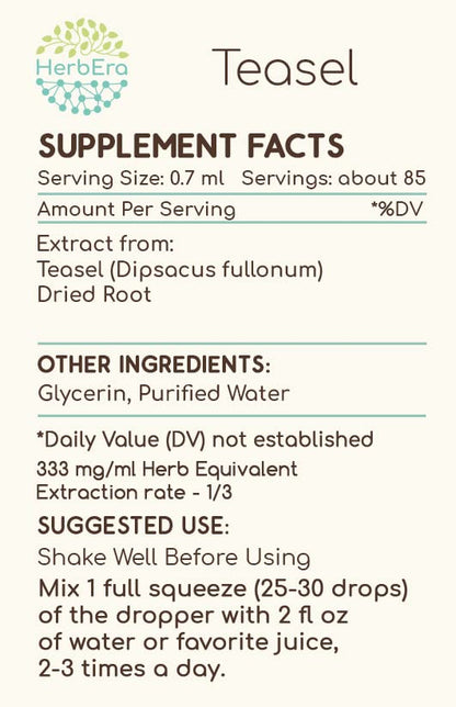 HerbEra Teasel B60 Alcohol-Free Herbal Extract Tincture, Concentrated Liquid Drops Natural Teasel (Dipsacus fullonum, Dipsacus sylvestris) 2 fl oz