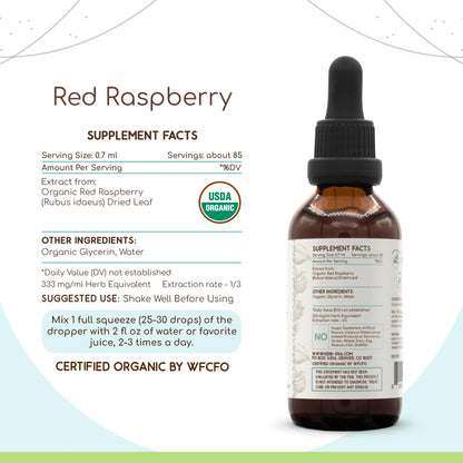 Red Raspberry B60 USDA Organic Tincture – Alcohol-Free, High-Potency Herbal Drops | Rubus idaeus Dried Leaf 2 oz